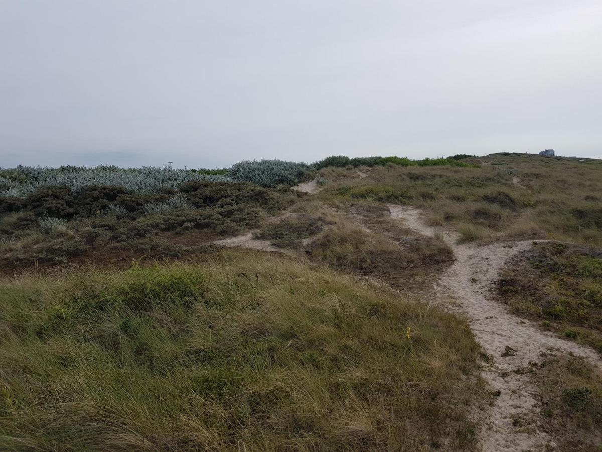 Seacottage Blankenberge - Wenduine De Haan Buitenkant foto